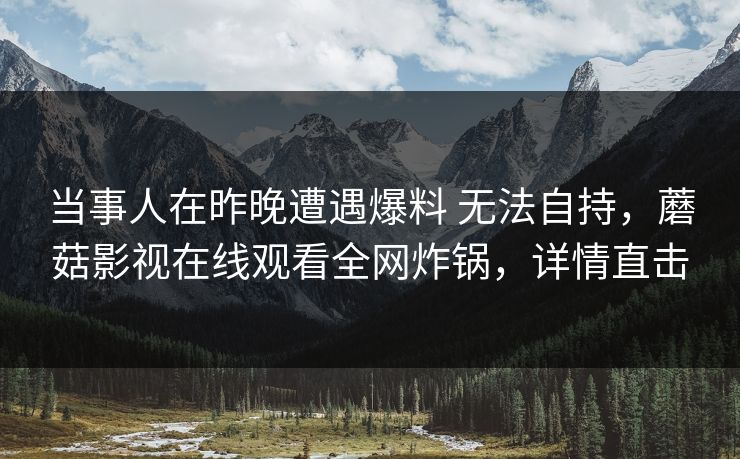 当事人在昨晚遭遇爆料 无法自持，蘑菇影视在线观看全网炸锅，详情直击