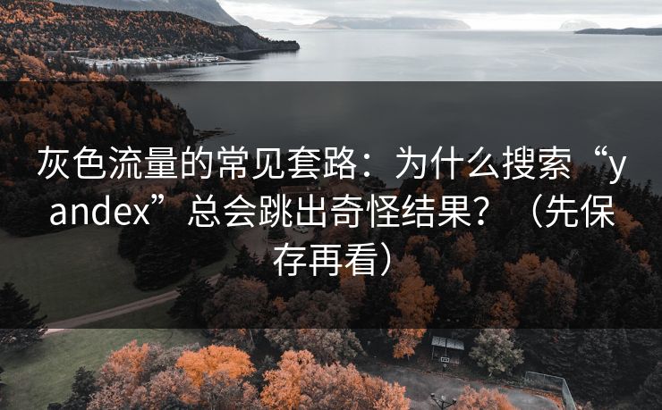 灰色流量的常见套路：为什么搜索“yandex”总会跳出奇怪结果？（先保存再看）