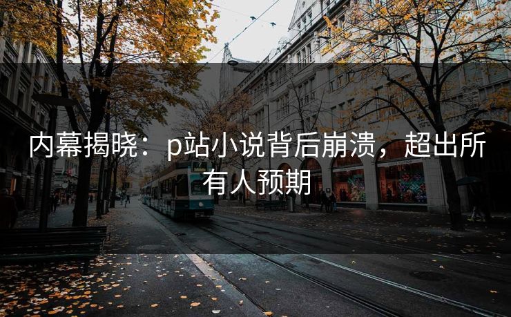 P站