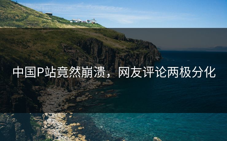 中国P站竟然崩溃，网友评论两极分化