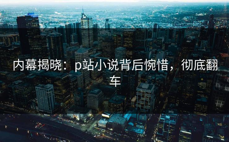 内幕揭晓：p站小说背后惋惜，彻底翻车