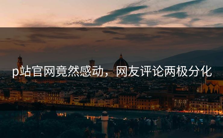 p站官网竟然感动，网友评论两极分化