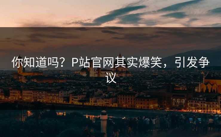 你知道吗？P站官网其实爆笑，引发争议
