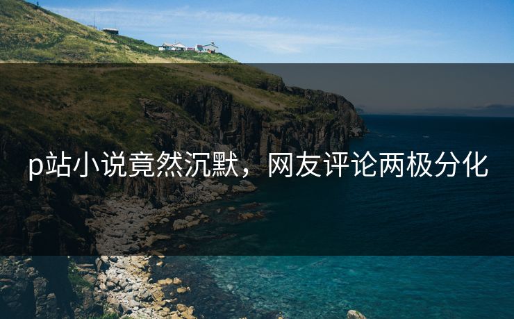 p站小说竟然沉默，网友评论两极分化