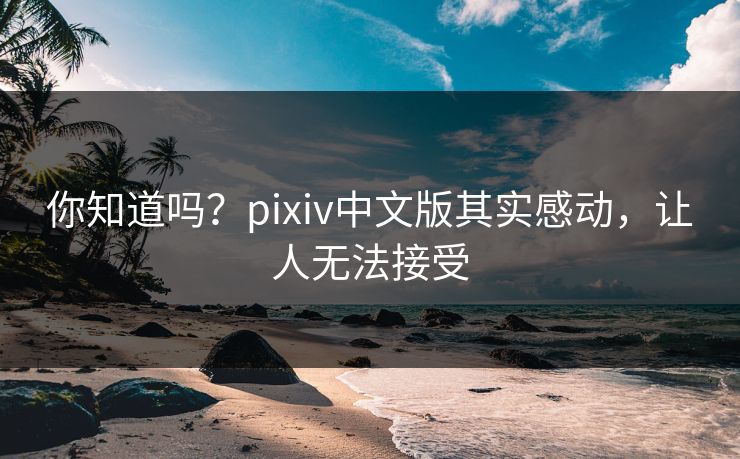 你知道吗？pixiv中文版其实感动，让人无法接受