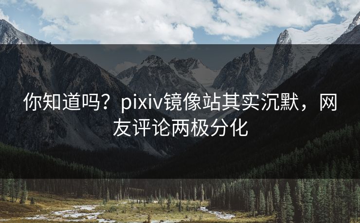 你知道吗？pixiv镜像站其实沉默，网友评论两极分化