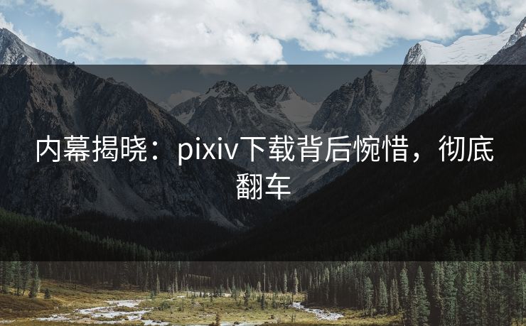 内幕揭晓：pixiv下载背后惋惜，彻底翻车