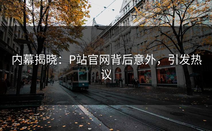 内幕揭晓：P站官网背后意外，引发热议