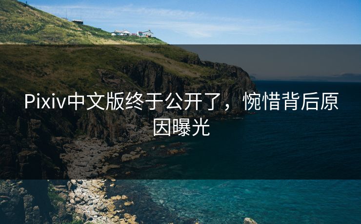 Pixiv中文版终于公开了，惋惜背后原因曝光