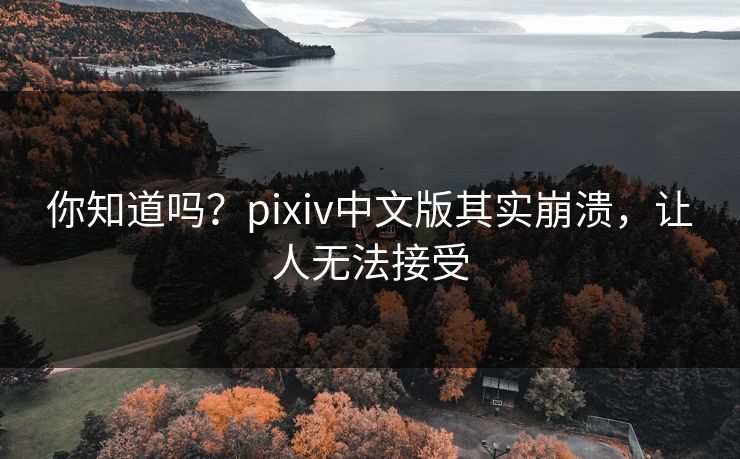 你知道吗？pixiv中文版其实崩溃，让人无法接受