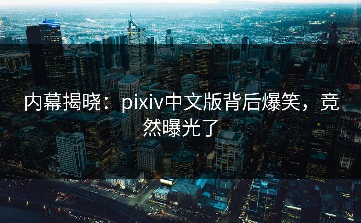 内幕揭晓：pixiv中文版背后爆笑，竟然曝光了