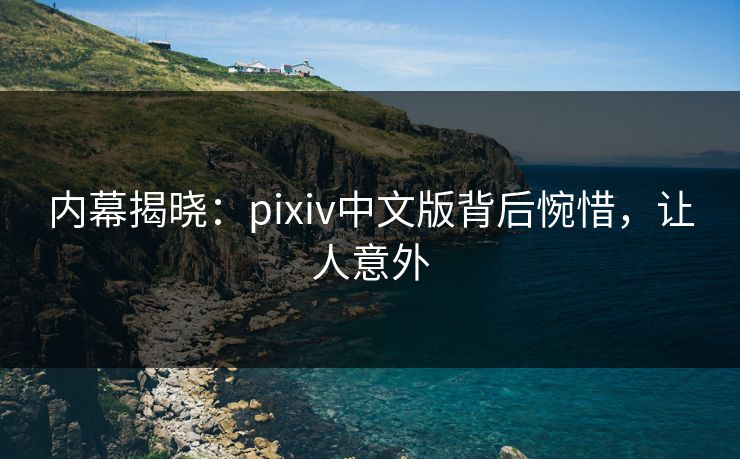 内幕揭晓：pixiv中文版背后惋惜，让人意外