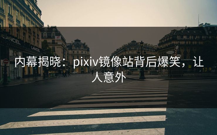 内幕揭晓：pixiv镜像站背后爆笑，让人意外