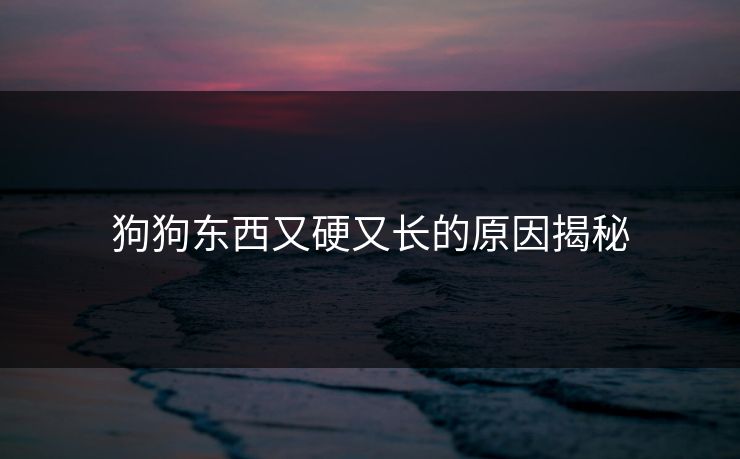 狗狗东西又硬又长的原因揭秘